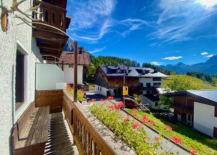 Apartment Classy Typical In Alvera'